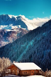 480x800 Snow Mountains And Trees