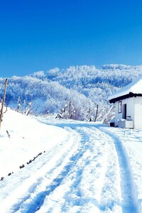 Snowy Cottage (240x400) Resolution Wallpaper
