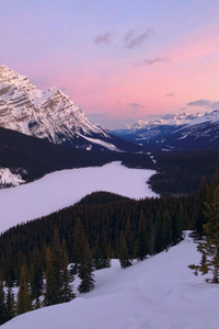 Snowy Mountains Landscape (480x800) Resolution Wallpaper