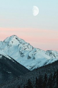 Snowy Mountains With Moon Frozen Peaks Under A Winter Moon (800x1280) Resolution Wallpaper
