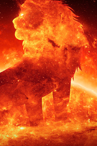 Solar Nocturnal Lion (1080x1920) Resolution Wallpaper