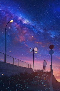Solitude Path An Anime Boy Solo Journey (640x1136) Resolution Wallpaper