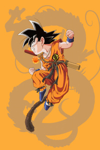Son Goku Dragon Ball Z (320x568) Resolution Wallpaper
