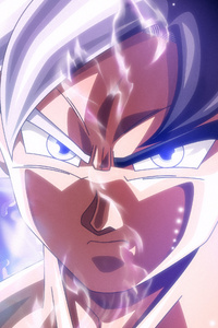 Son Goku Mastered Ultra Instinct