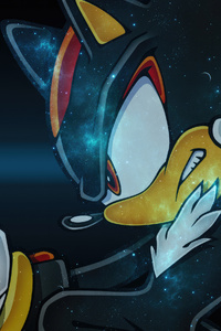 Sonic Shadow The Hedgehog (800x1280) Resolution Wallpaper