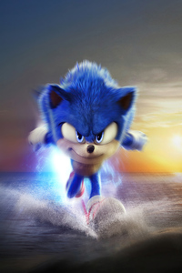 1080x1920 Sonic The Hedgehog 2 Banner