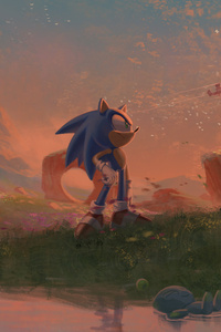 Sonic The Hedgehog Above (800x1280) Resolution Wallpaper