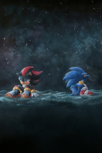 Sonic X Shadow There Are No Winners With Revenge (800x1280) Resolution Wallpaper