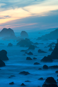 Sonoma Coast State Park California Usa (750x1334) Resolution Wallpaper