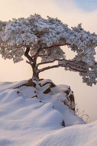 South Korea December Winter