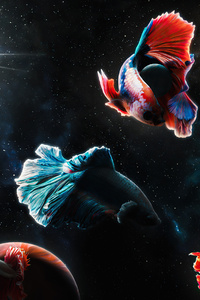240x400 Space Fish