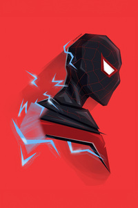 Spectacular Chroma Spiderman (320x568) Resolution Wallpaper