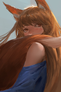Spice And Wolf Anime 4k