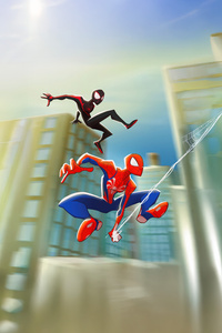 Spider Duo New Dawn Same Symbol (320x568) Resolution Wallpaper