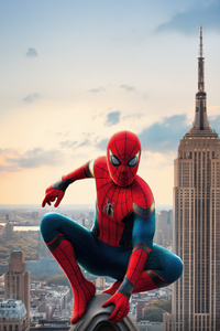 Spider Man Brand New Day Movie (240x320) Resolution Wallpaper