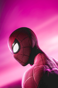 Spider Man Dazzling Presence (480x854) Resolution Wallpaper