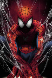 Spider Man In Web