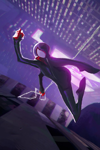 Spider Man Into The Spider Verse (1080x2160) Resolution Wallpaper