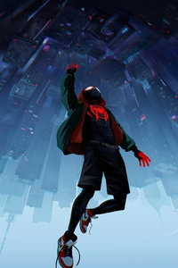 1080x2160 Spider Man Into The Spiderverse 8k