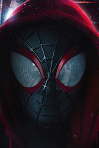 640x1136 Spider Man Marvel Miles Morales