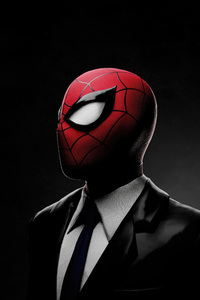 Spider Man Midnight Persona (640x1136) Resolution Wallpaper