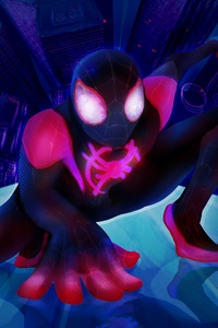 Spider Man Miles (360x640) Resolution Wallpaper