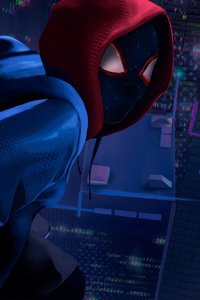 Spider Man Milesnew (320x480) Resolution Wallpaper