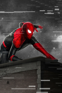Spider Man Monochrome Artwork (640x1136) Resolution Wallpaper