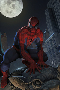 Spider Man Moon (800x1280) Resolution Wallpaper