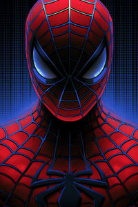 Spider Man Protector (480x800) Resolution Wallpaper