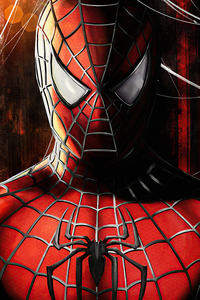 240x400 Spider Man Raimi Suit 4k
