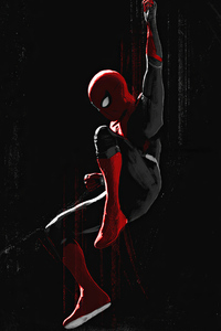 Spider Man Spider Web Art