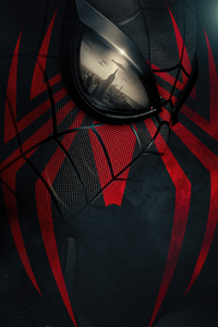 Spider Man Through The Future (640x1136) Resolution Wallpaper