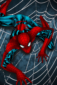 Spider Man Web (1080x2160) Resolution Wallpaper