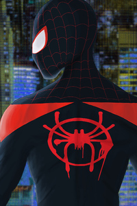 Spider Verse New Artwork (1080x2280) Resolution Wallpaper