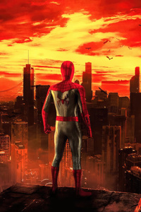 Spiderman 4 Concept Art (240x320) Resolution Wallpaper