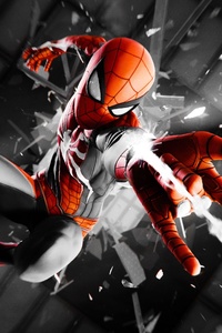 Spiderman 4k Monochrome (640x960) Resolution Wallpaper