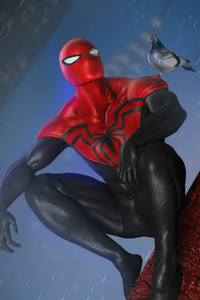 Spiderman And Pigeon (1080x2280) Resolution Wallpaper