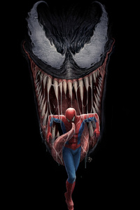 Spiderman And Venom Artwork