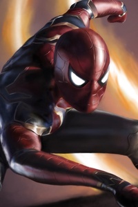 Spiderman Avengers Infinity War (320x568) Resolution Wallpaper