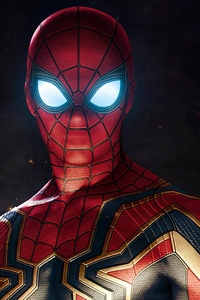 Spiderman Avengers Infinity War Suit