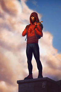 1125x2436 Spiderman Back To Home