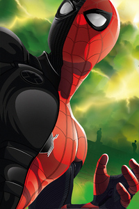 Spiderman Black Red
