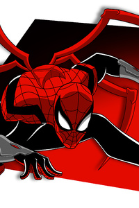Spiderman In Spider Verse (1125x2436) Resolution Wallpaper
