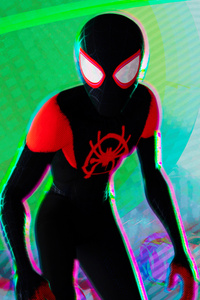 SpiderMan Into The Spider Verse 2018 HD (1080x2280) Resolution Wallpaper