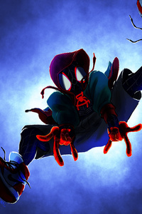 Spiderman Into The Spider Verse4k