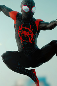 Spiderman Miles Morales 2020 (1440x2560) Resolution Wallpaper