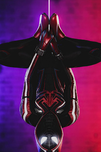 Spiderman Miles Morales 2021 Upside Down (1440x2960) Resolution Wallpaper