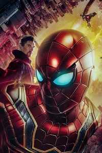 1242x2688 Spiderman No Way Home Fanmade Poster 4k