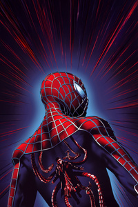 Spiderman On The Edge (480x800) Resolution Wallpaper